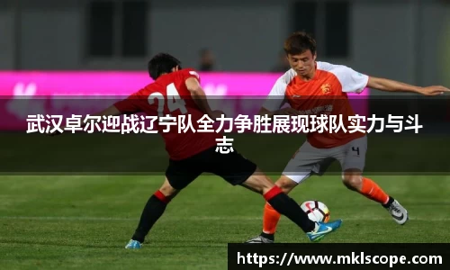 JN江南·(中国区)体育官方网站-JN SPORTS